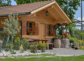 Stettnerhof Wohnung Mayenburg